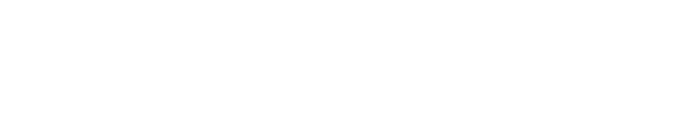 Viva Exim Logo